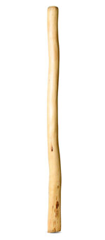 Medium Size Natural Finish Didgeridoo (TW1586)
